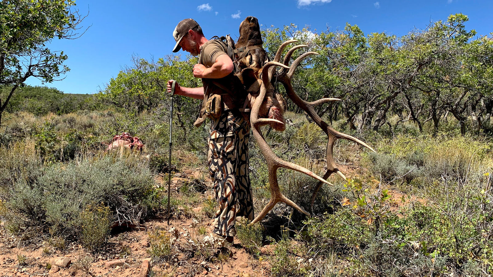 When the rut is strong and the bulls bugle.