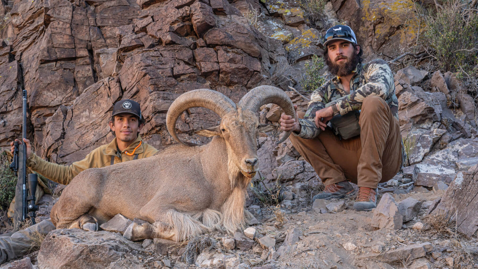 Confessions of a West Texas Aoudad Guide