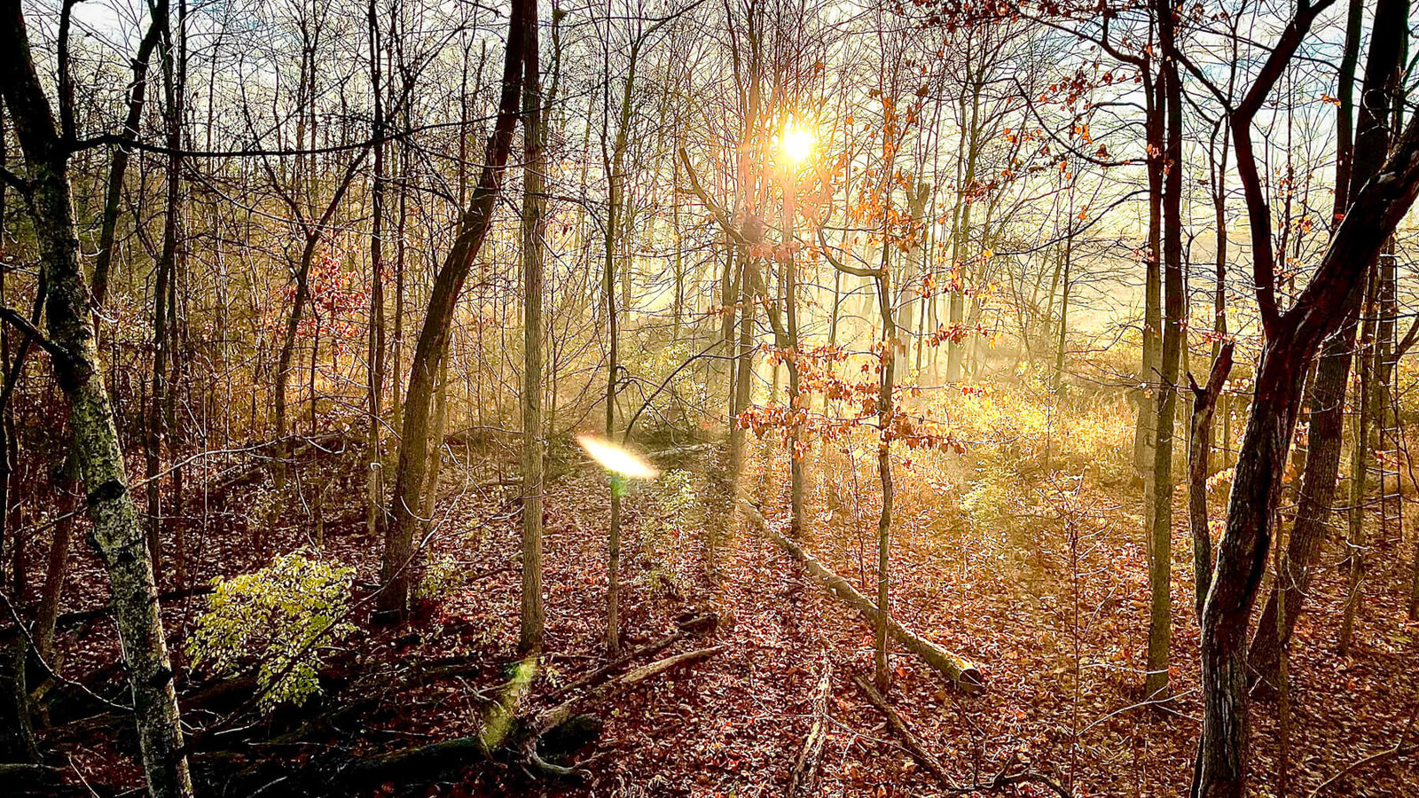 Four Things That Remind Us When We Fell In Love With Hunting