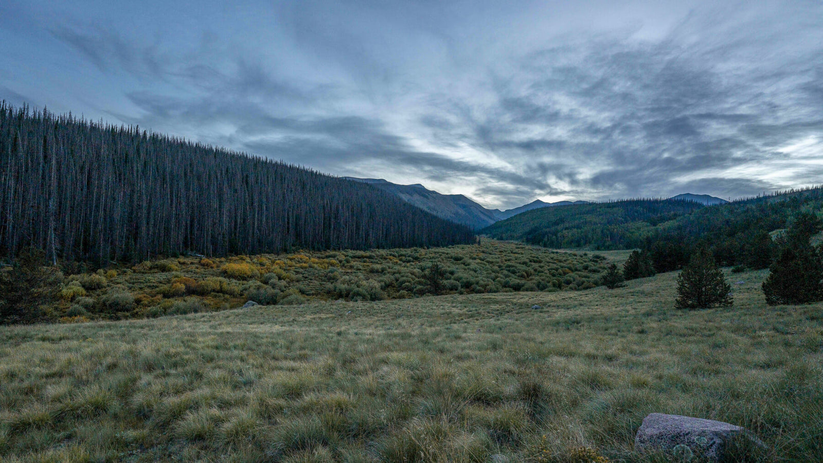 Scouting a New Hunting Unit