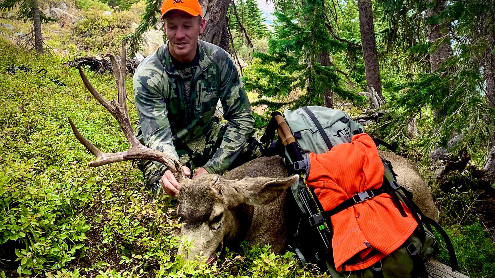 Tidal Waves in the Rockies