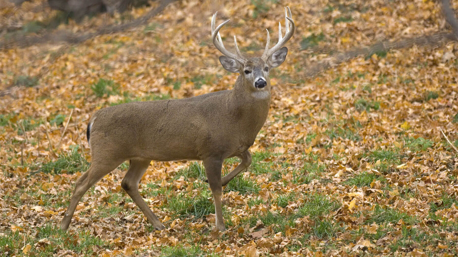 Six things I will do differently this season.