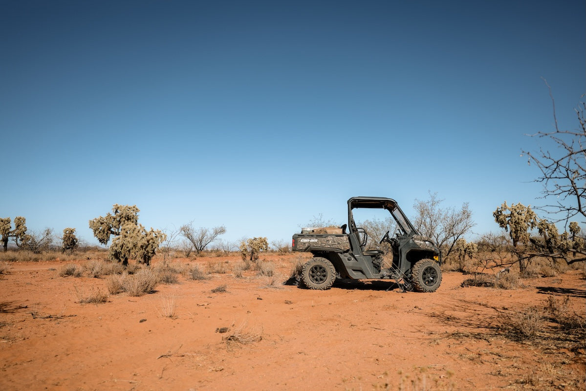 Early Season Essentials