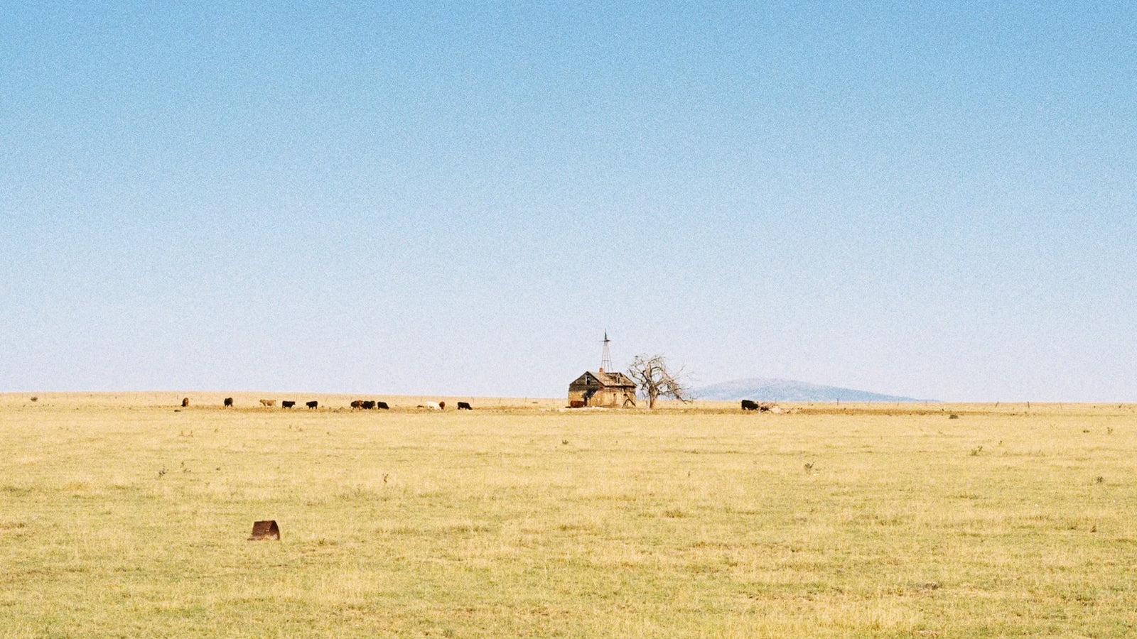 "4 for 4" Antelope Hunt Gear