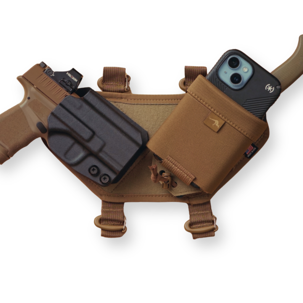 Eclipse Holster