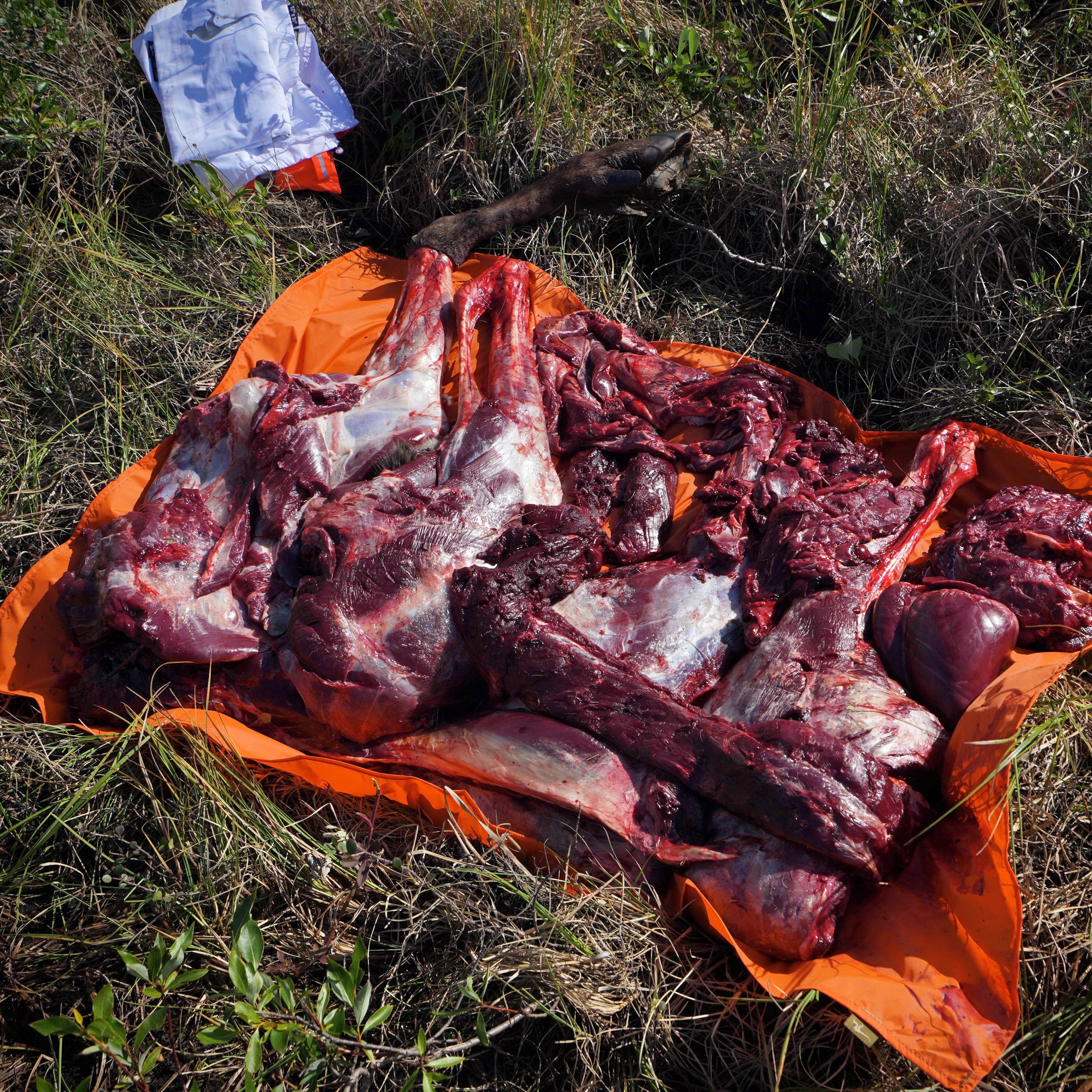 kalnas tarp musu Meat Tarp
