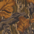 SMALL / Mossy Oak Fall Foliage